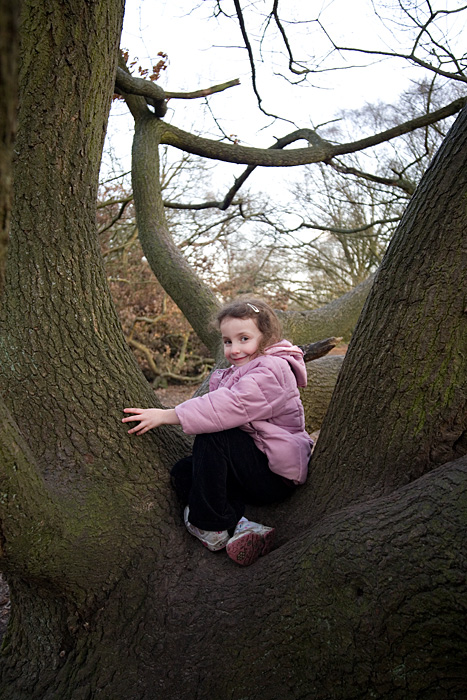 _MG_9078p