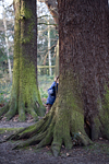 _MG_9015p
