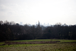 _MG_9026p