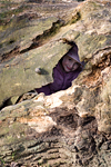 _MG_9054p