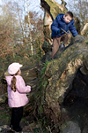 _MG_9064p