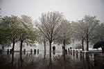_MG_9626p