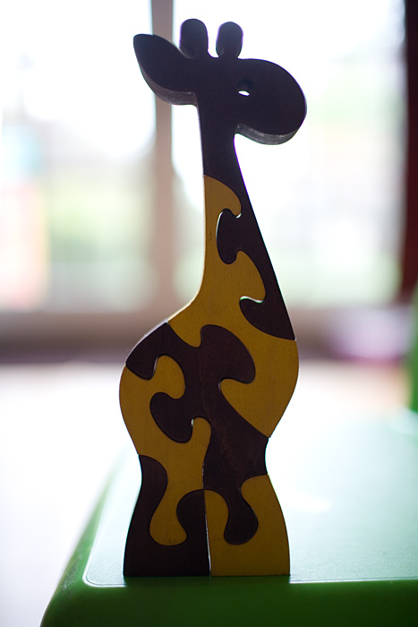 _MG_0082p