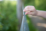 _MG_0099p