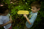 _MG_0135p