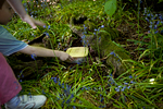 _MG_0143p