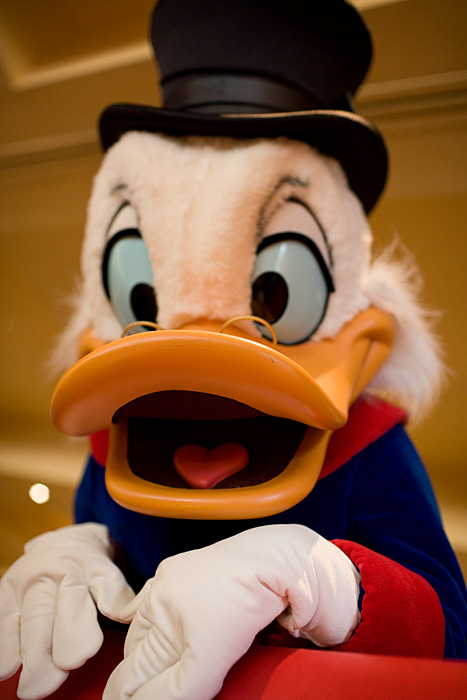 _MG_0604p