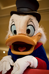_MG_0604p