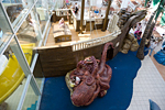 _MG_1019p