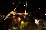 The Tarzan Encounter