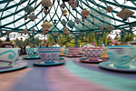 _MG_0367p