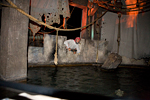 _MG_0987p