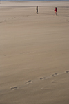 _MG_1554p