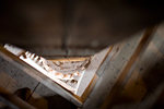 _MG_1655p