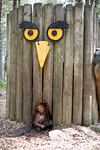 _MG_2464p