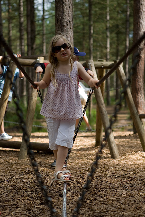 _MG_2531p