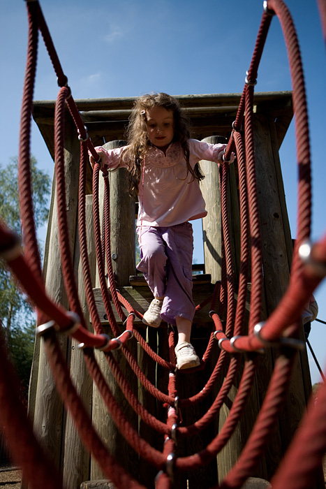 _MG_2606p
