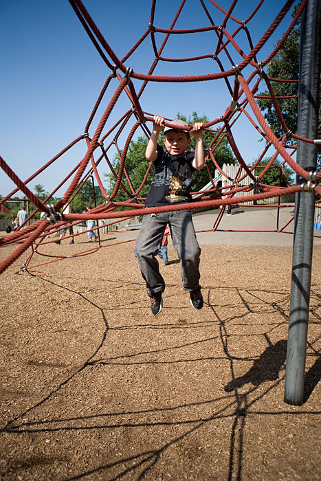 _MG_2613p