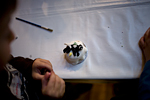 _MG_3241p
