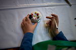 _MG_3243p