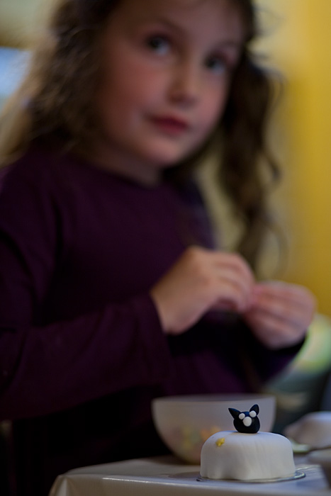 _MG_3228p