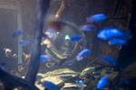 _MG_3964p