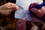 _MG_4195p