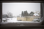 _MG_4449p