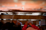 _MG_5184p