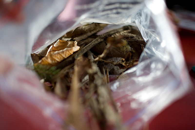 _MG_4966p