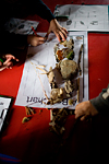 _MG_4976p