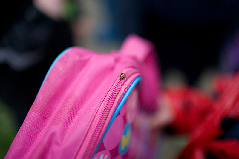 _MG_5194p