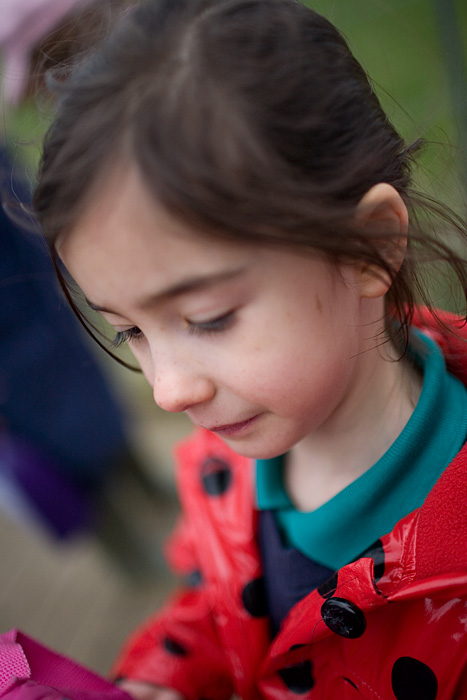 _MG_5195p