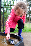 _MG_5056p