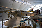 _MG_5363p