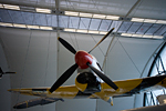 _MG_5364p