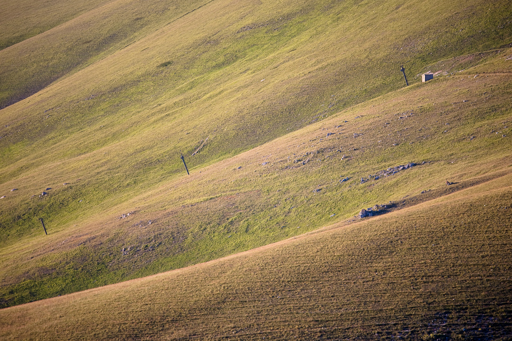 _MG_6303p