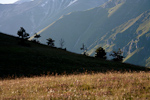 _MG_6272p