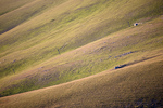 _MG_6303p