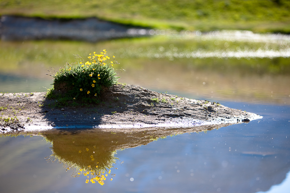 _MG_6658p