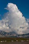 _MG_7947p