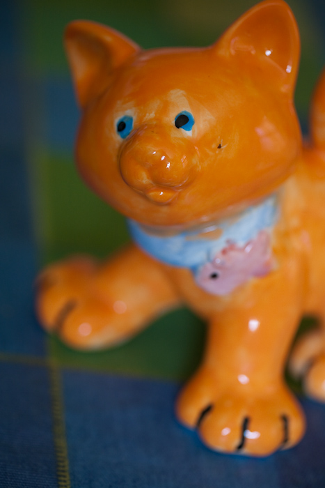 _MG_8427p