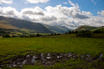 _MG_8919p