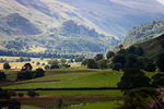 _MG_8933p