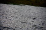 _MG_8958p