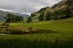 _MG_9134p