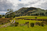 _MG_9137p