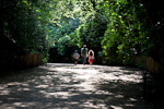 _MG_9291p