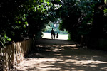 _MG_9296p