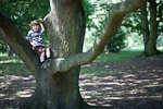 _MG_9328p